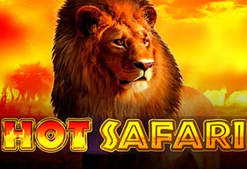 Hot Safari